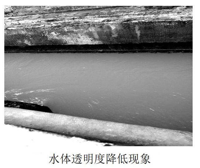 中浩遠達|循環(huán)水系統(tǒng)水體透明度降低